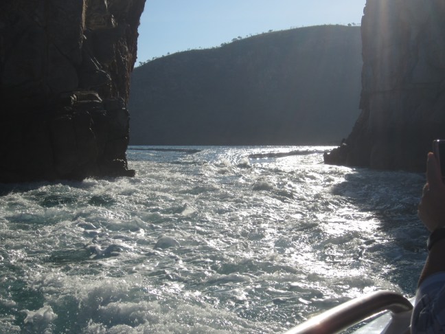 192EE280-9E22-449A-A1DA-31EFE05F1006