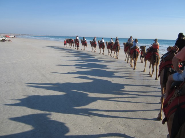 377C97BC-7787-4462-BFA4-7F0BE7F0963C