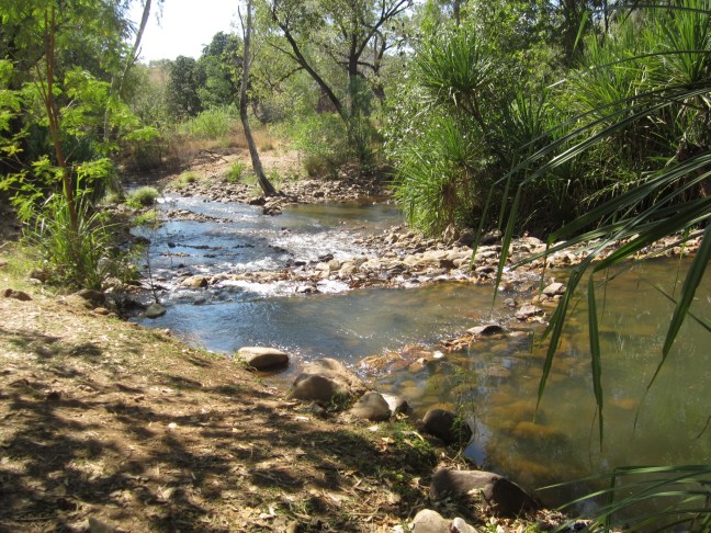 454C2E89-69E0-4EF6-9F67-A0515649E2DD