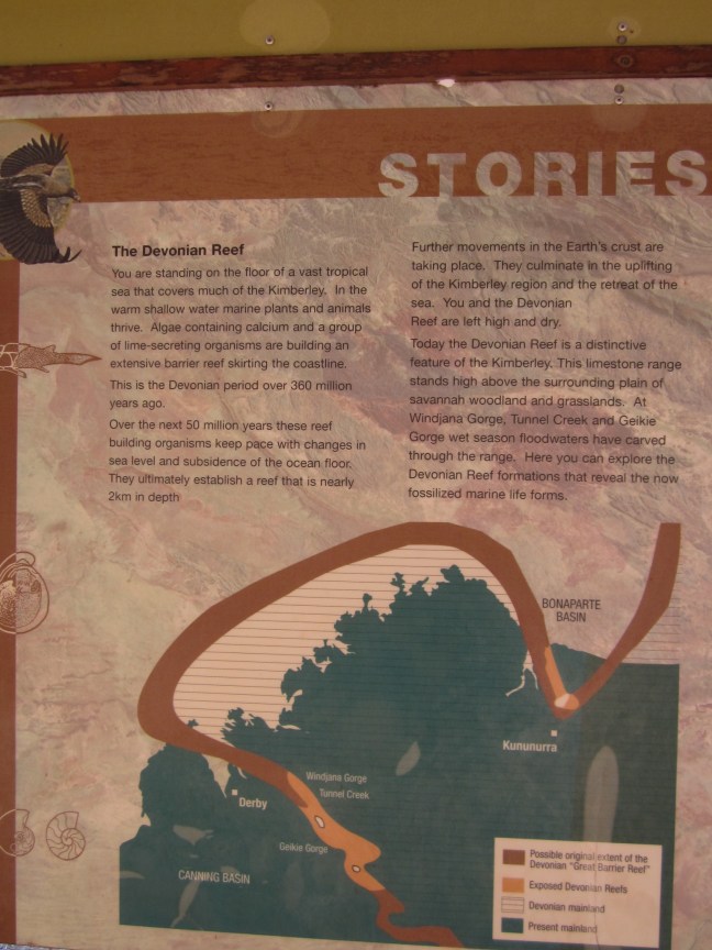 53AC3555-5216-4BA9-91C8-8044185EAF0B