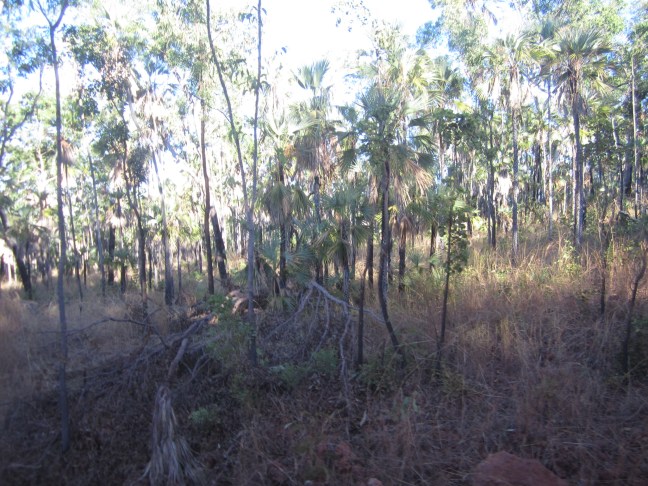 575EF34C-3684-4913-9978-AD3BE3C8EC44