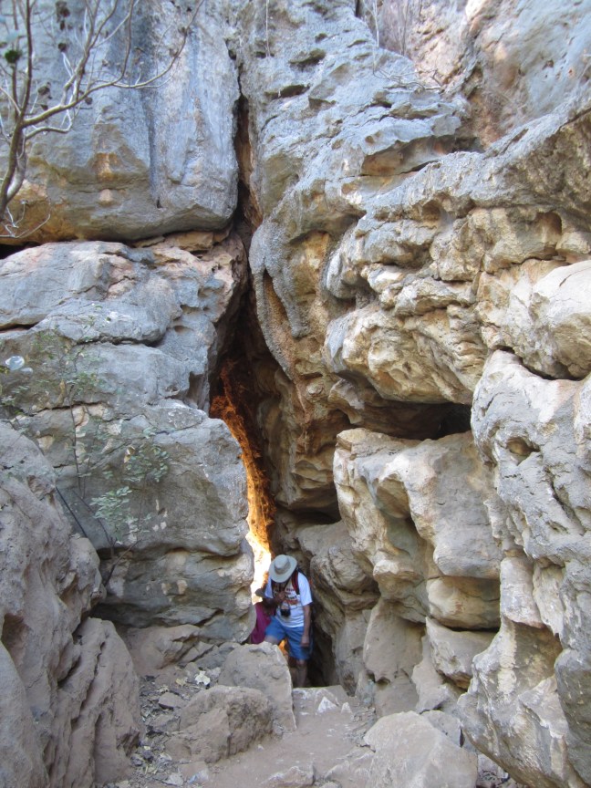 8D857B01-1E14-422E-A24E-D0D3EC9E99EC