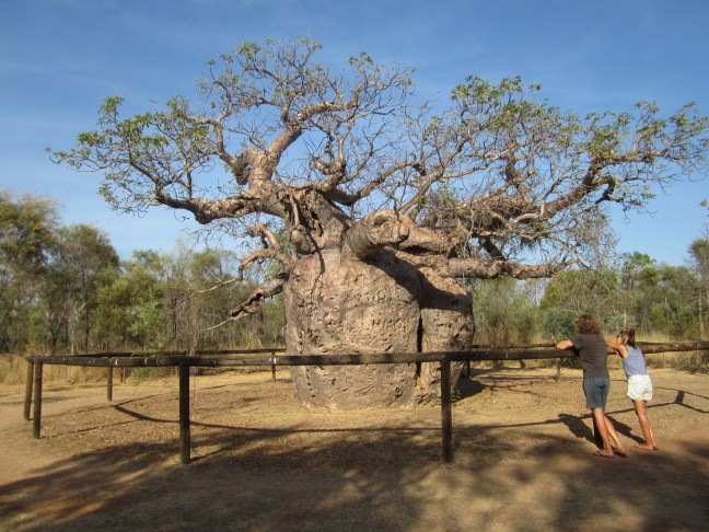 9D231AE6-D622-4255-A05B-52A5C37C4DC6