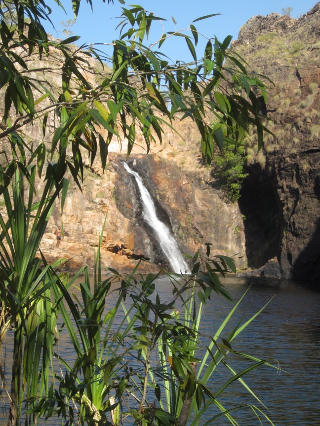 A5E1A04D-7DD9-495B-BA3F-2AA29136B30B