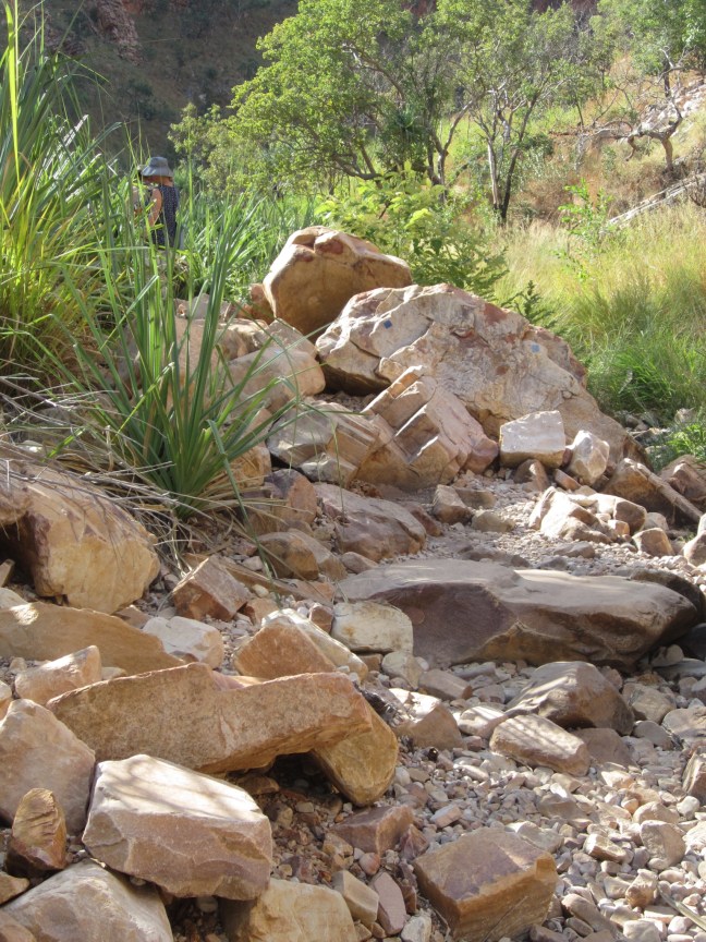 AAF44A34-4601-4959-8185-7A359A2BC08E