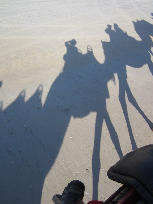 C0B4AF5D-A11B-4BDB-806B-C0A67153215B