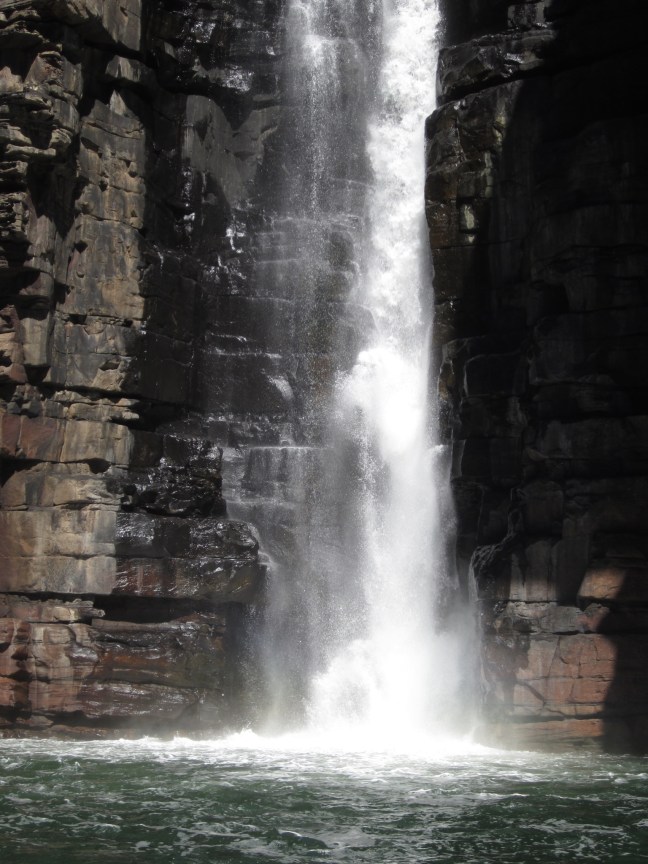 CA383CE9-5A9F-4489-B882-6D7393AB0770