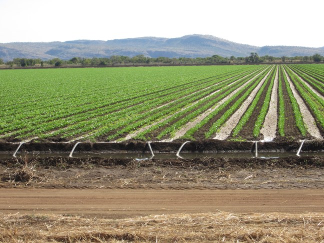 CB4CB05C-3197-4E36-BEDD-0ABC10B1459F