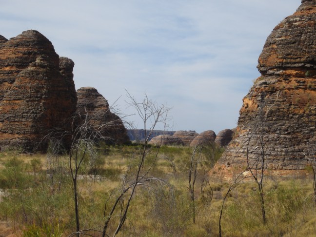 DB31B11E-9072-4573-90E2-045B3B402292