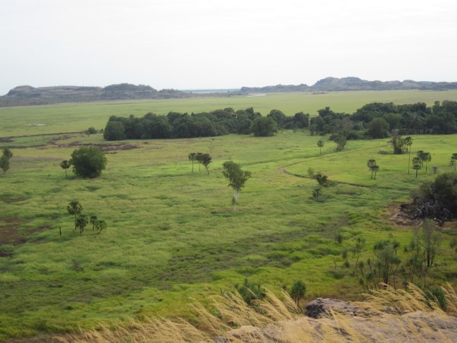 E229CDC6-FFEC-47F3-B4E8-9B5BE600320E