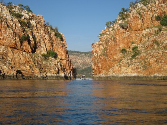 E7A1D226-E10B-4F63-BBF0-065AC7C23231