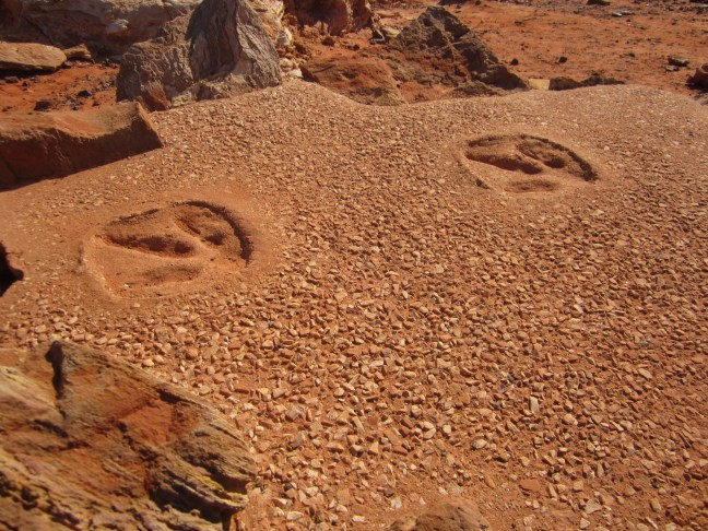 F3C2B570-6EFC-42A6-AFDE-B10503AB0C7B